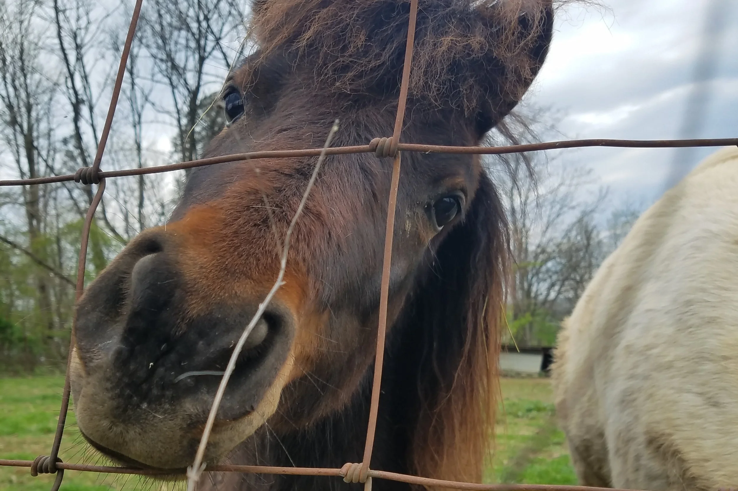 20190418_094949.jpg