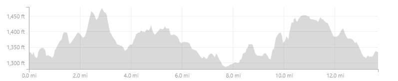 Amberly Willow elevation.png
