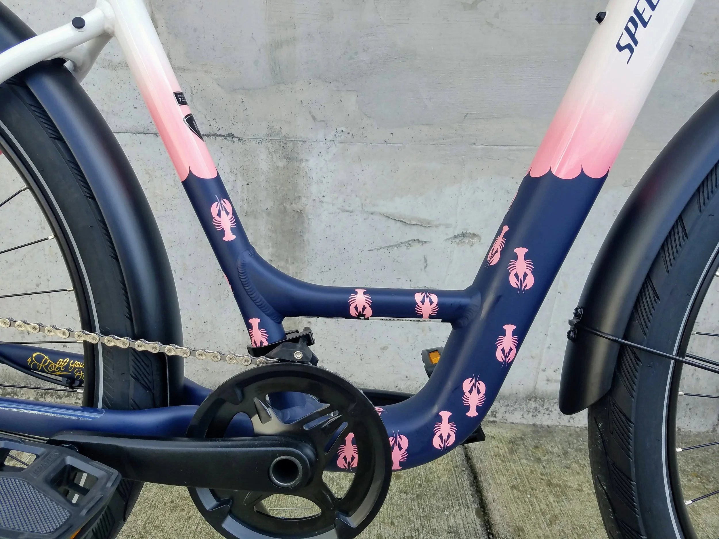 specialized roller bike