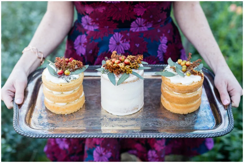 mini-naked-wedding-cakes-baltimore-wedding-photographer_0009