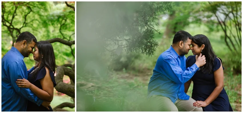cylburn arboretum engagement