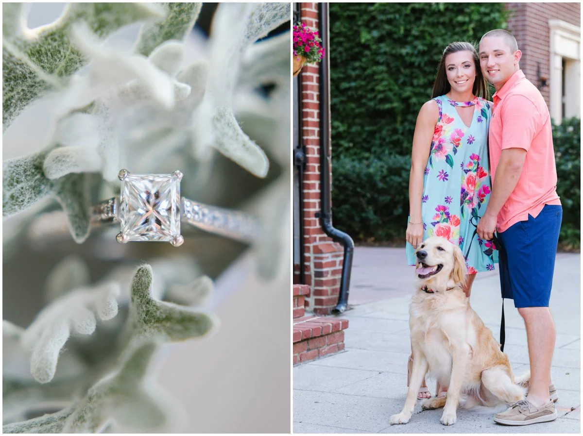 urban-row-photo-fells-point-engagement-with-dog_0002.jpg