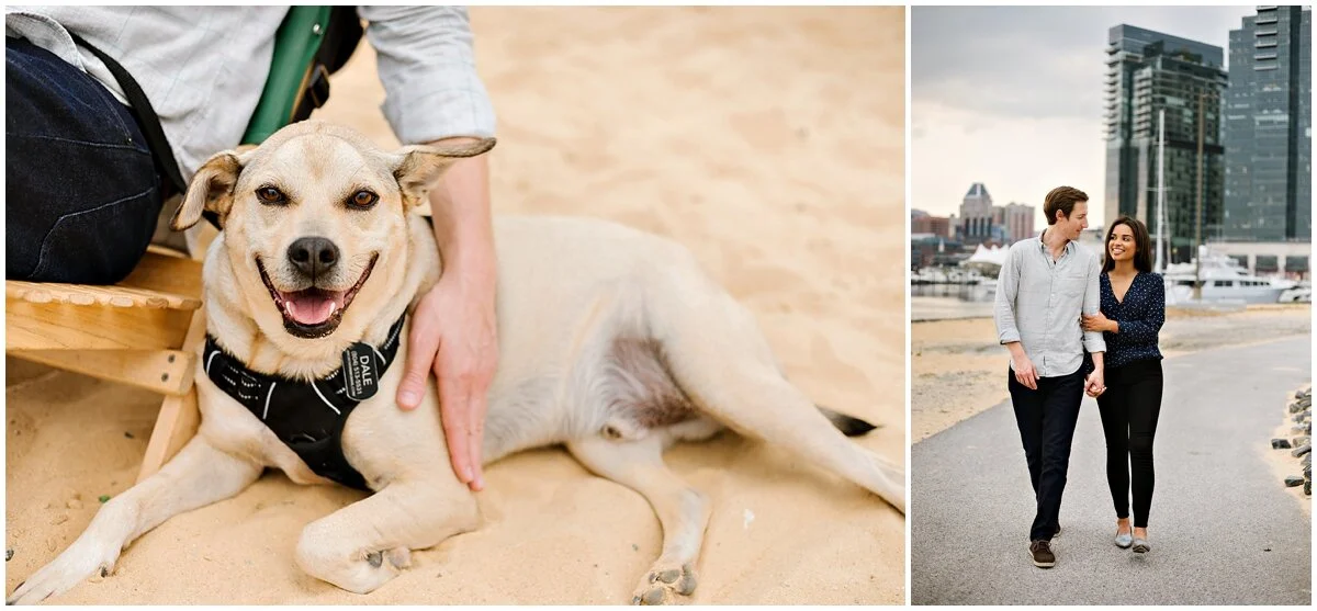 urban-row-photo-including-your-dog-in-engagement-photos_0019.jpg