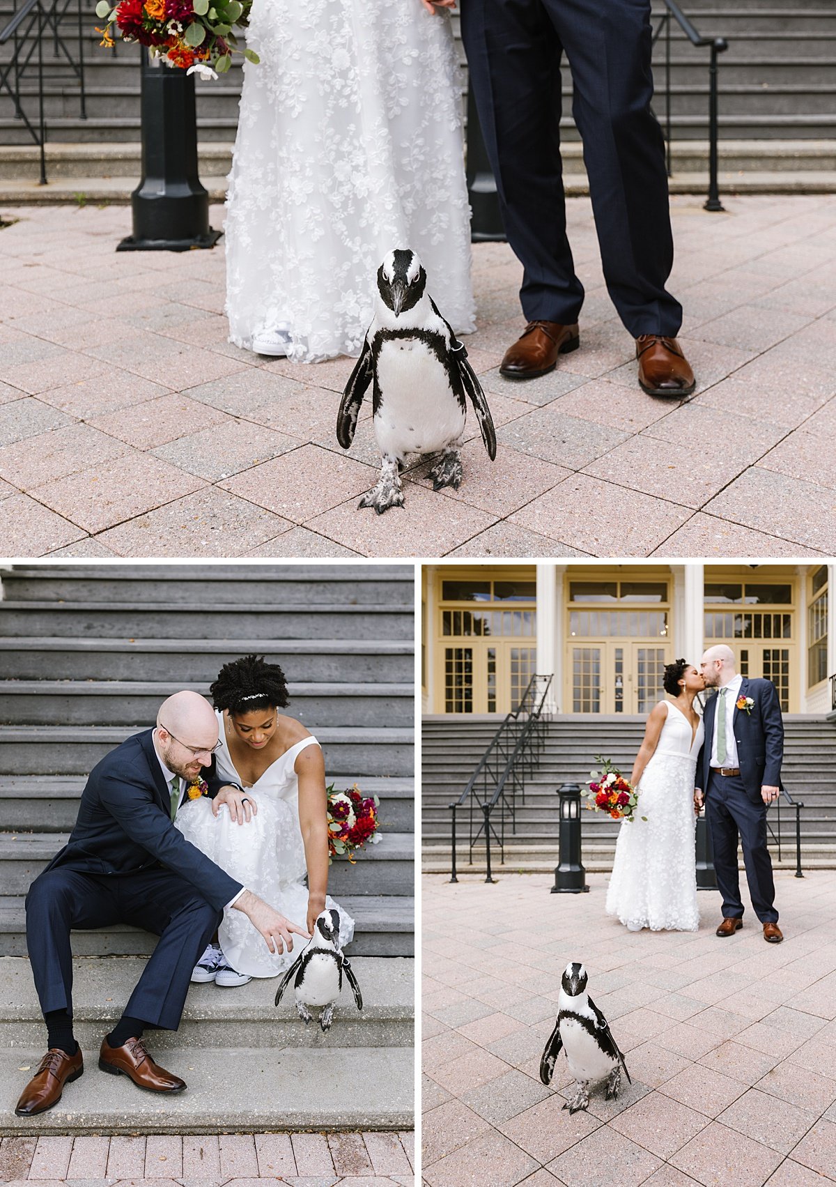 urban-row-photo-candid-maryland-zoo-penguin-wedding_0004.jpg