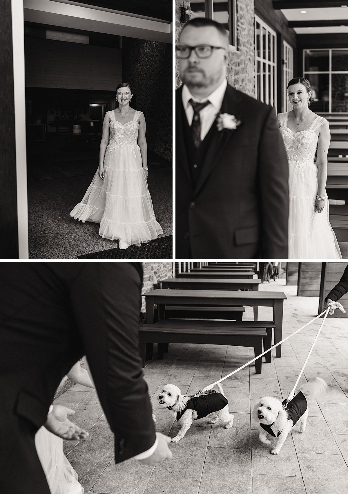 urban-row-photo-wedding-dogs-furever-fur-always-merriweather-post_0009.jpg
