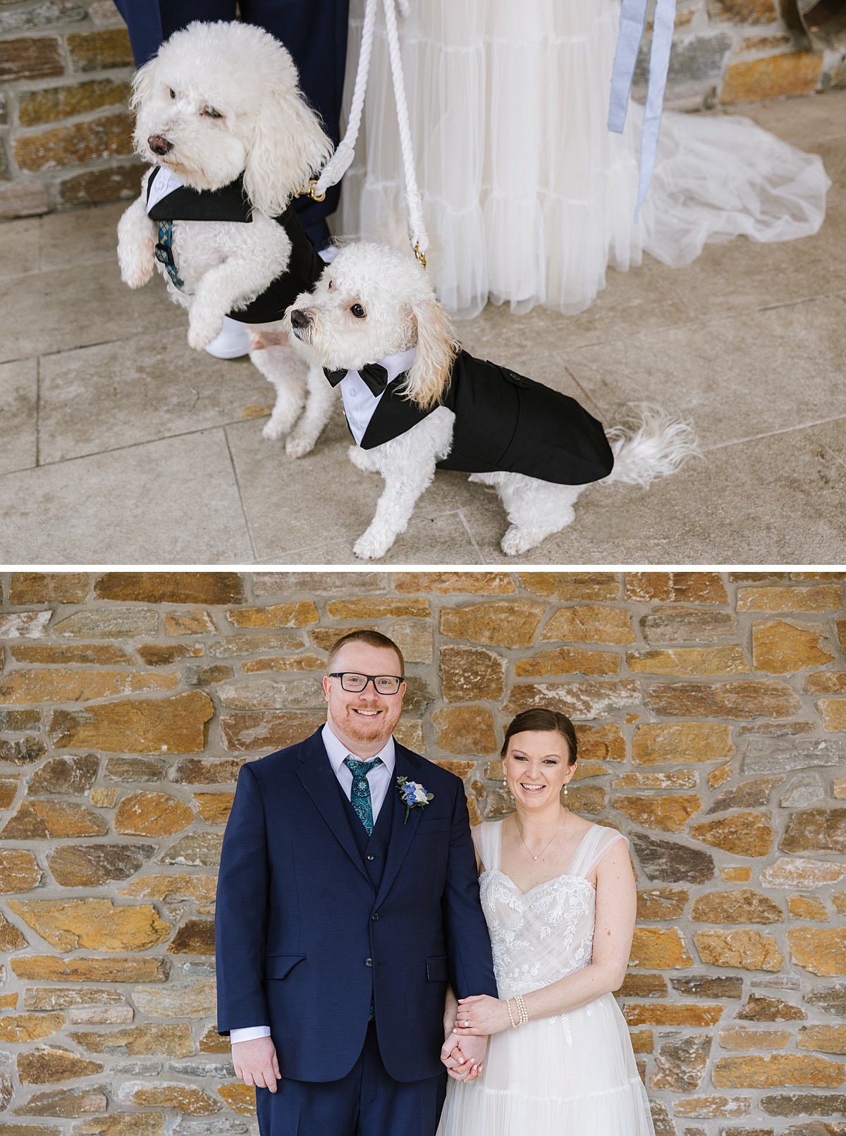 urban-row-photo-dogs-in-tuxedos-wedding-photographer_0012.jpg