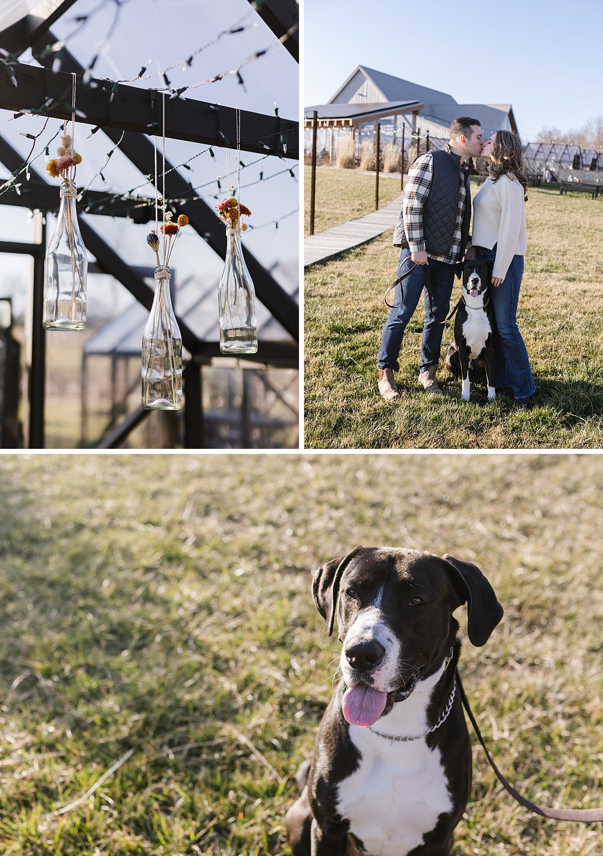 urban-row-photo-old-westminster-winery-dog-engagement_0003.jpg