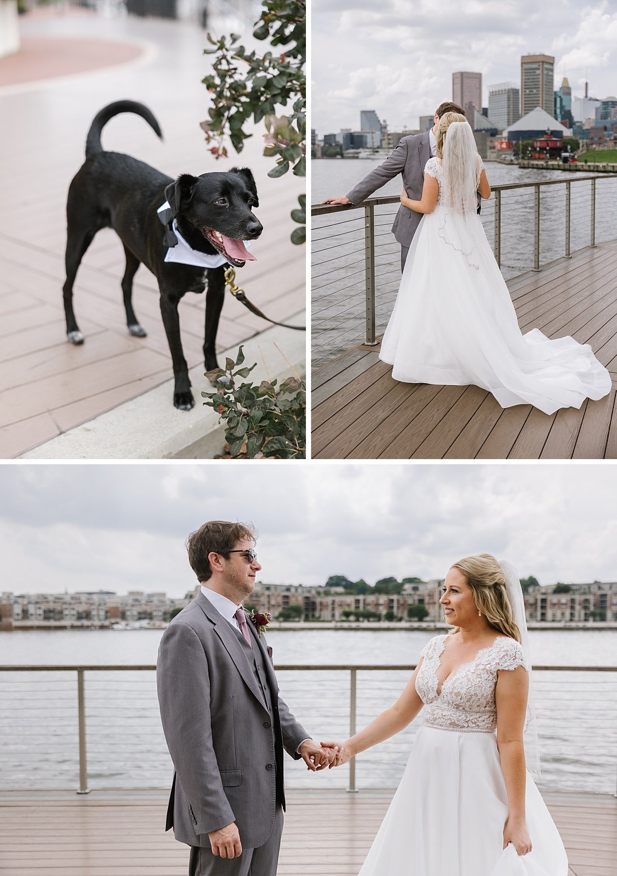 urban-row-photo-dog-wedding-photos-baltimore_0006.jpg