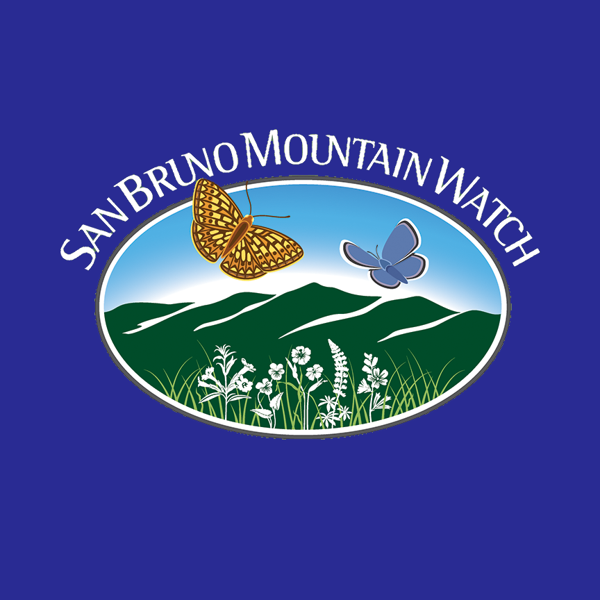 sbmwwhitelogo.png