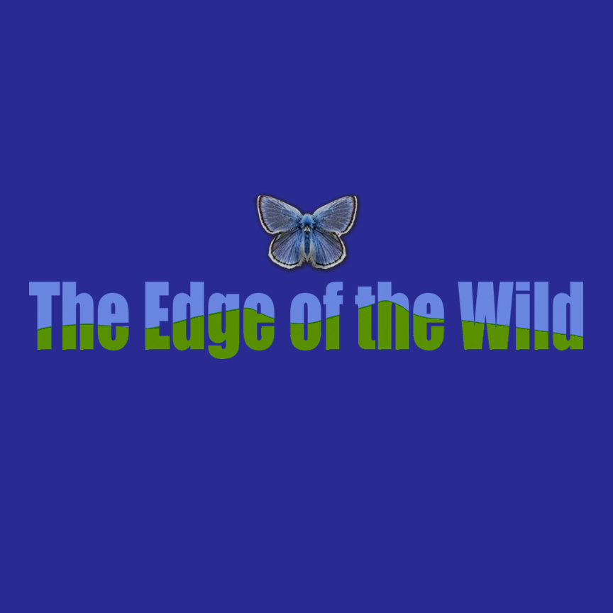 TEOTW.logo.png