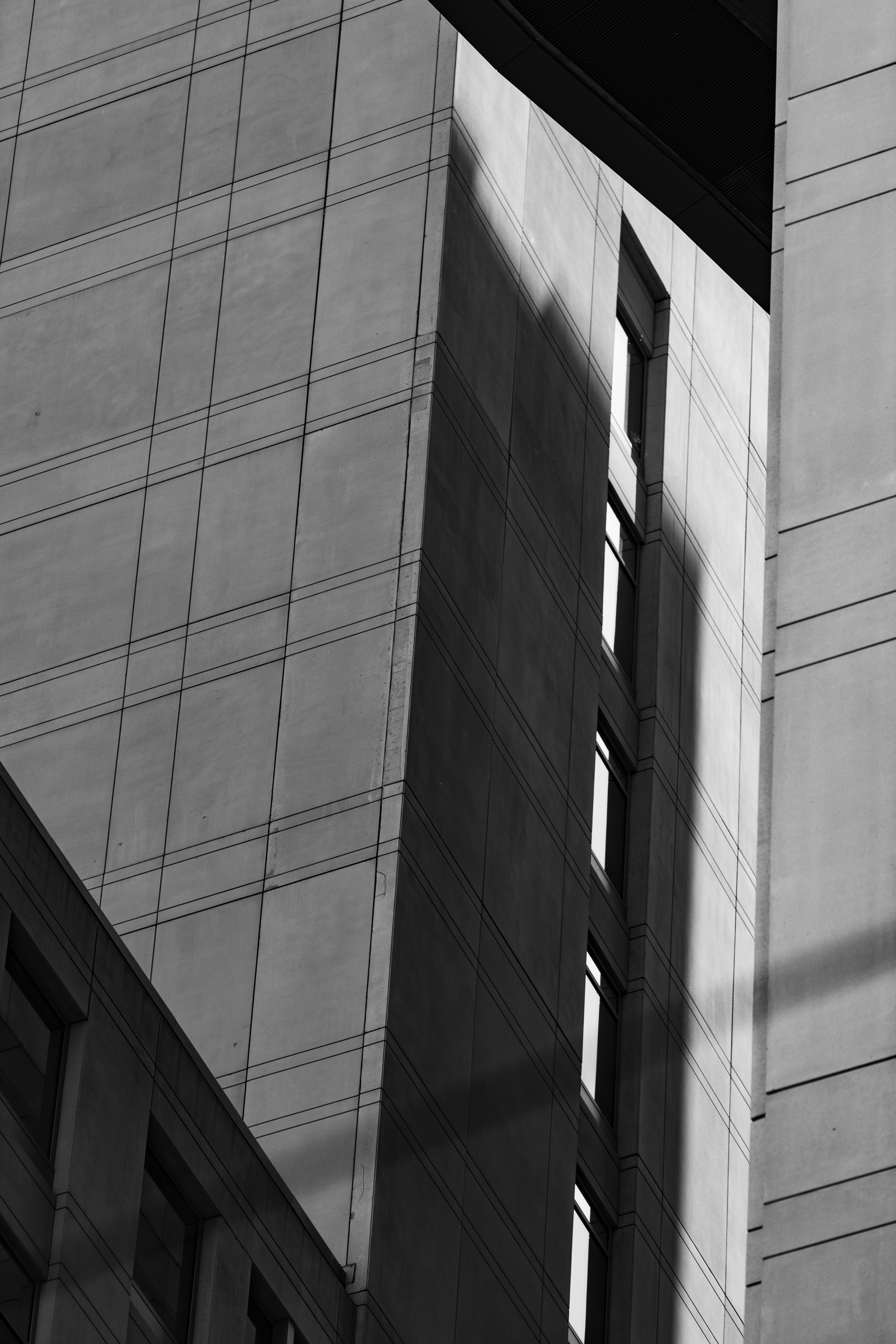 SDP_0498 copy.jpg