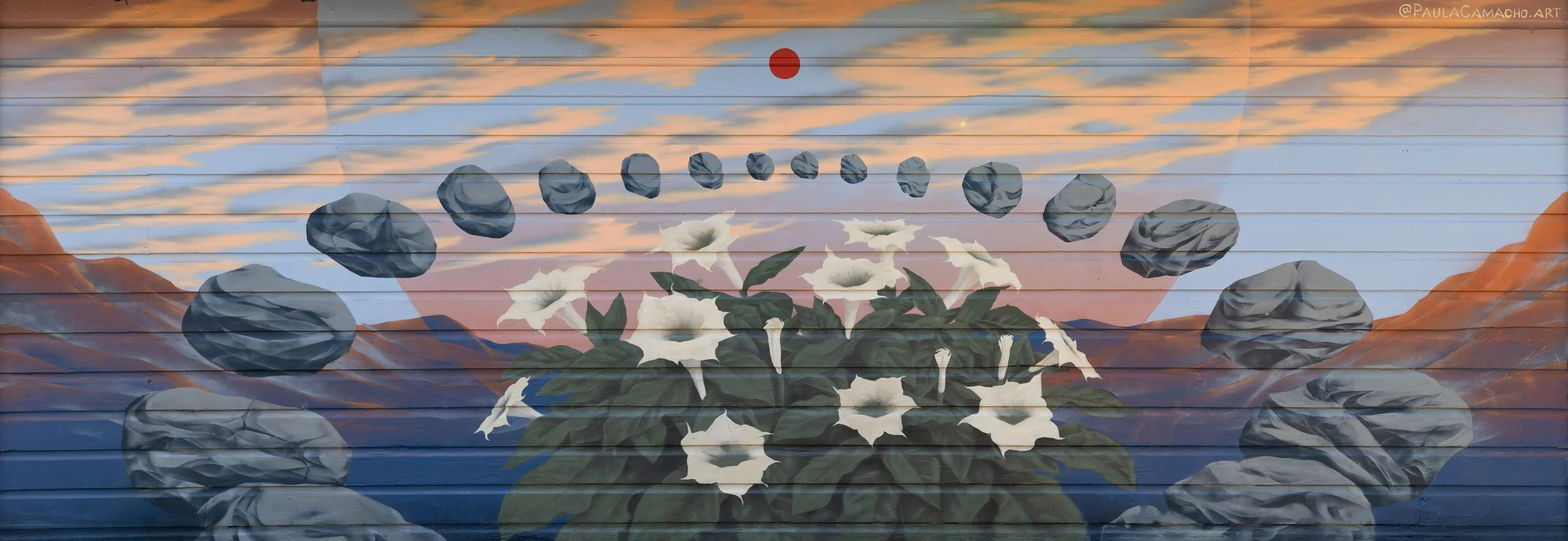 20251103_PaulaCamacho (Street Wise Arts)_0001.jpg