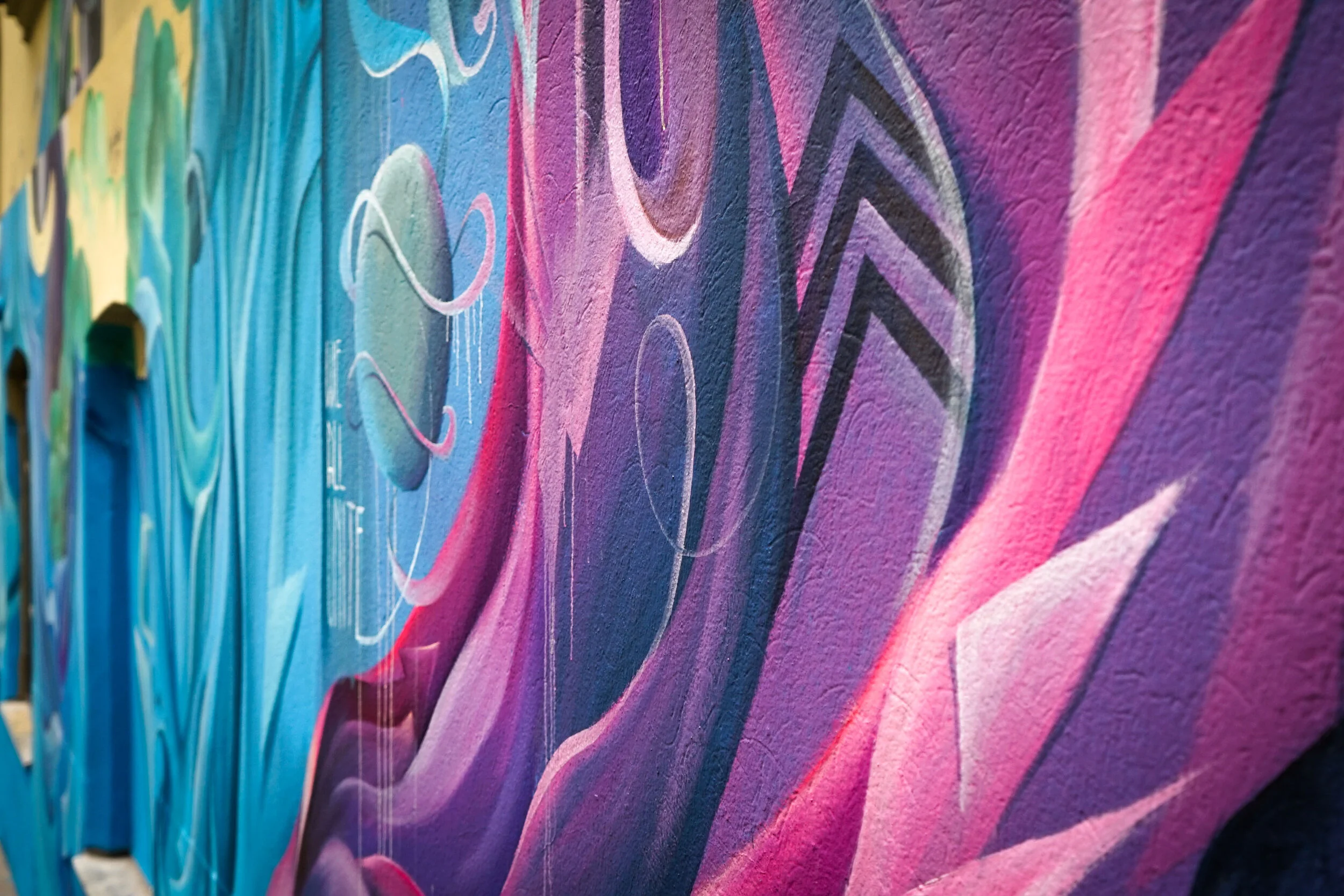 closeups (4 von 5).jpg