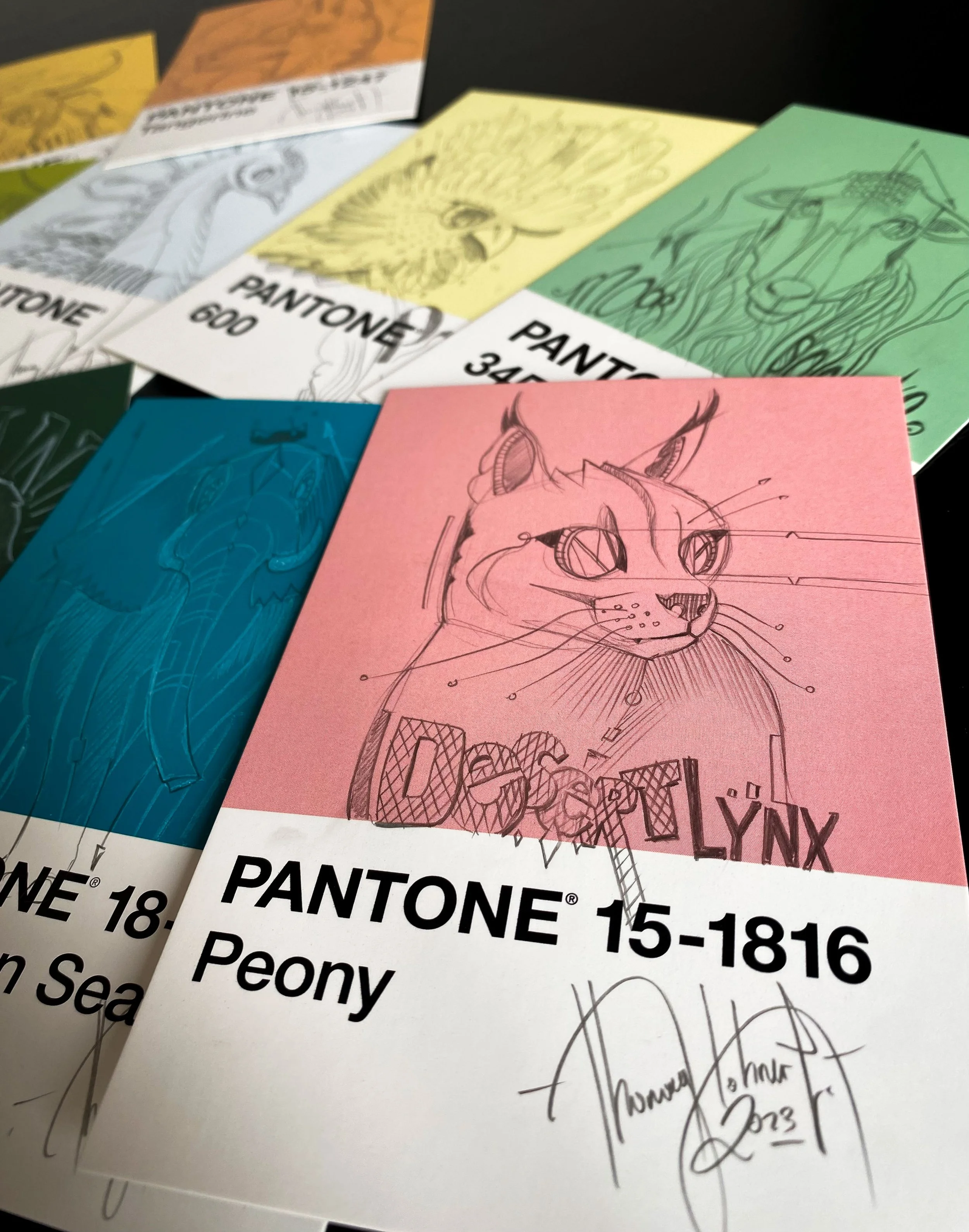 small version-532.jpg