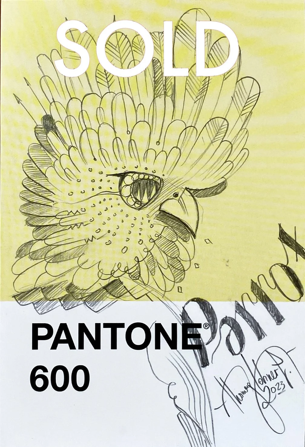 6_Parrot_sold.jpg