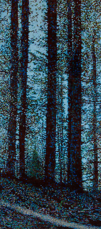 Redwood Forest, Oil on Linen, 33" x 72", 2012