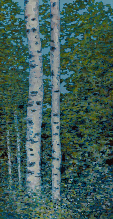 Birch Trees VIII , Oil on Linen ,22" x 42", 2012