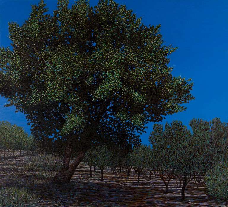 Olive Grove II, Oil on Linen, 40" x 42", 2015 (SOLD)