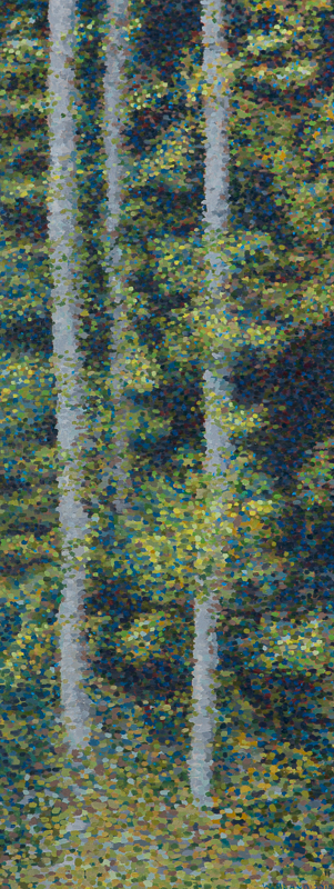 Compressed Forest III, Oil on Linen, 15" x 38", 2010