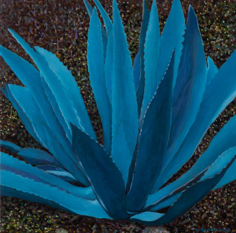 Agave I, Oil on Linen, 14" x 14", 2015