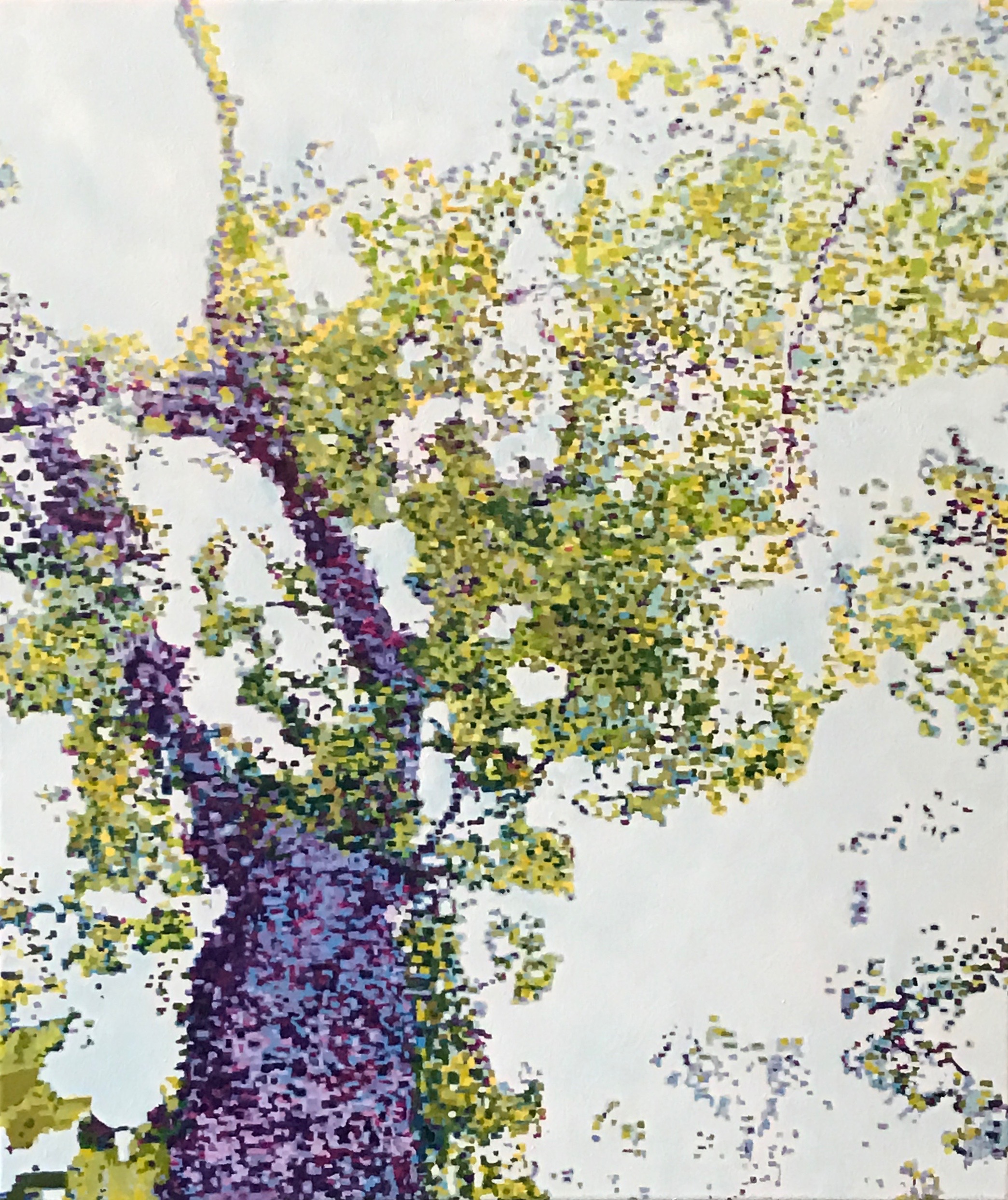Baobab, Oil on Linen, 24" x 28", 2016 (Sold)