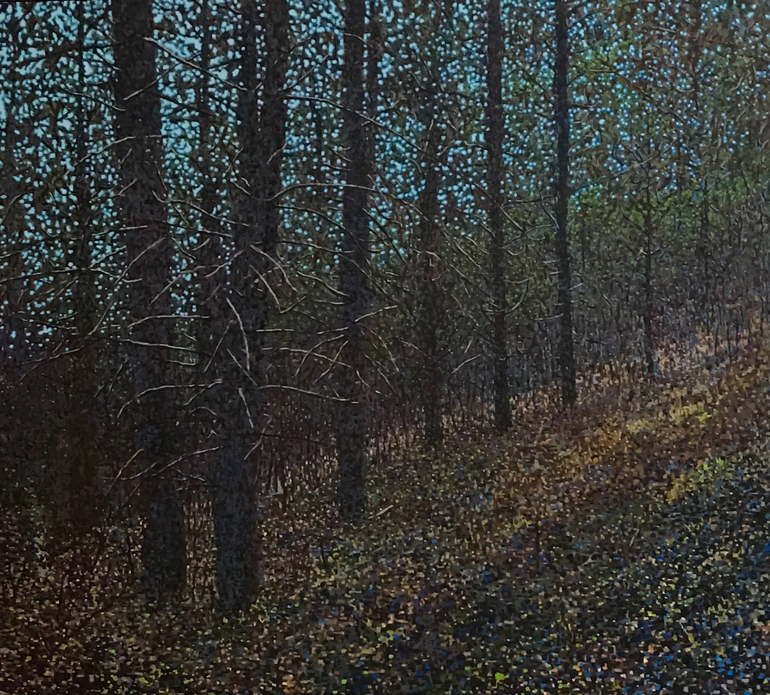 Forest Slope, Oil on Linen, 38"x 24", 2016