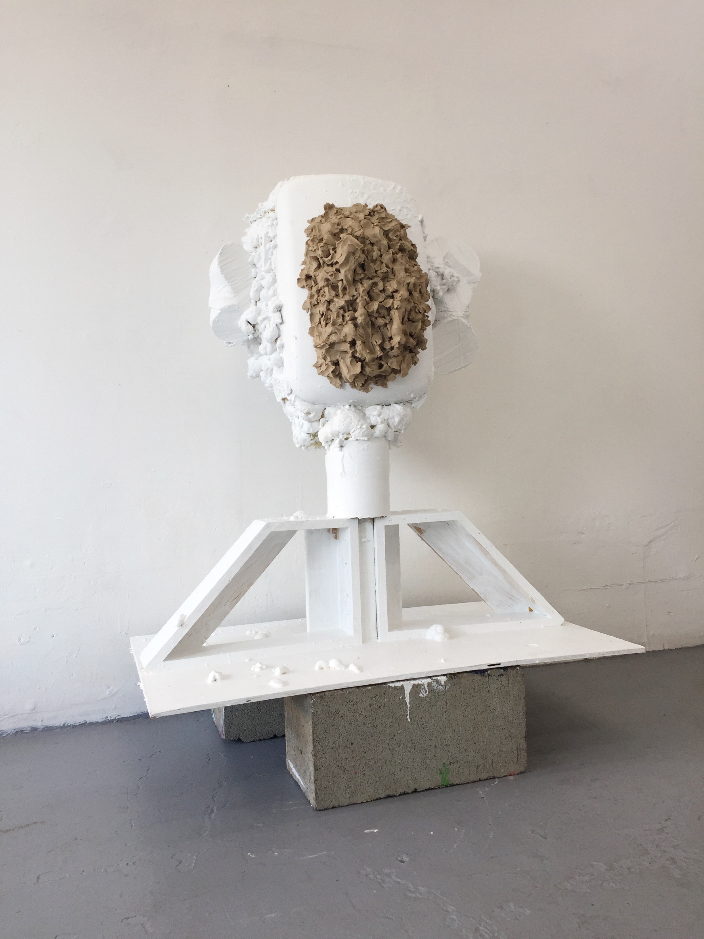 Clay Face