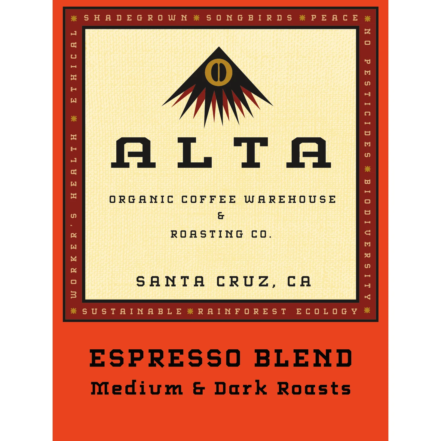 Espresso new web square.jpg