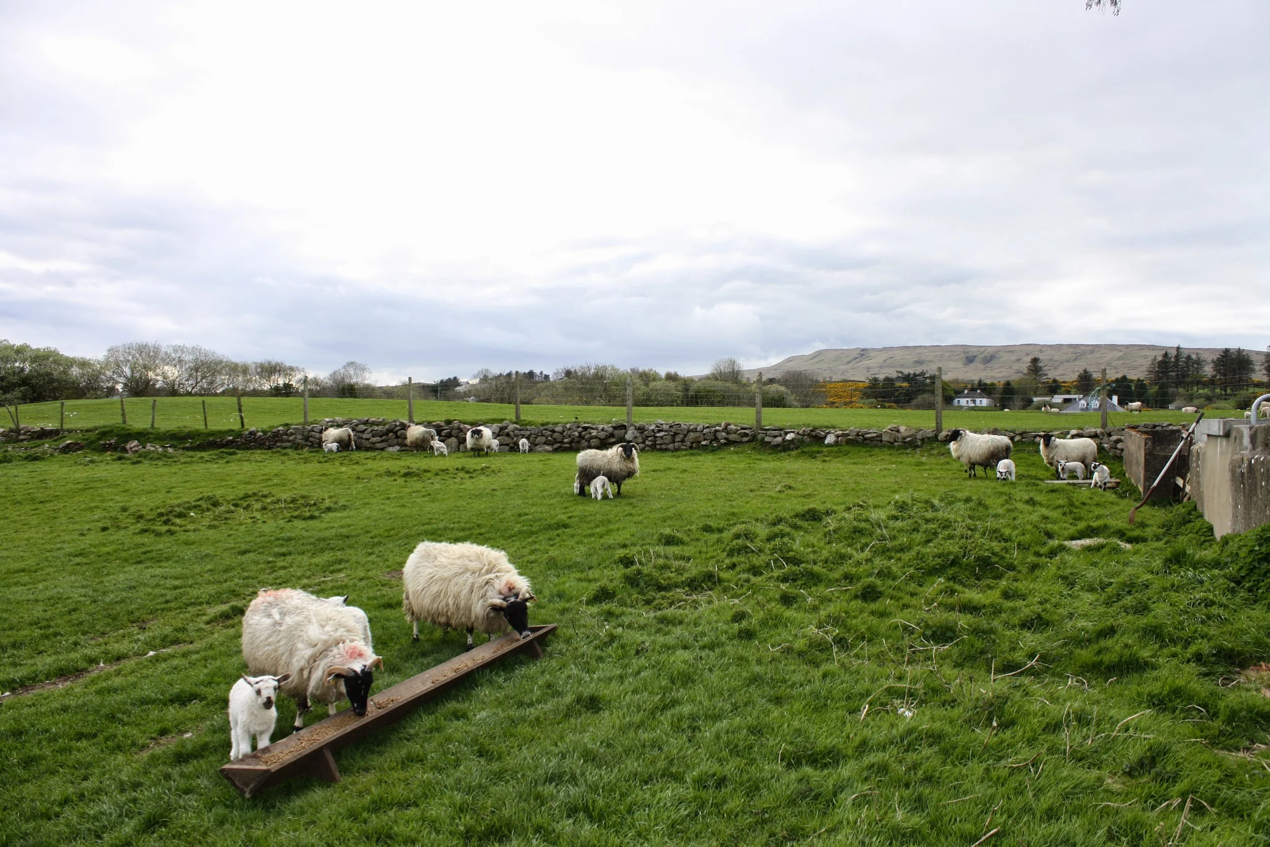 untitled shoot-068.JPG