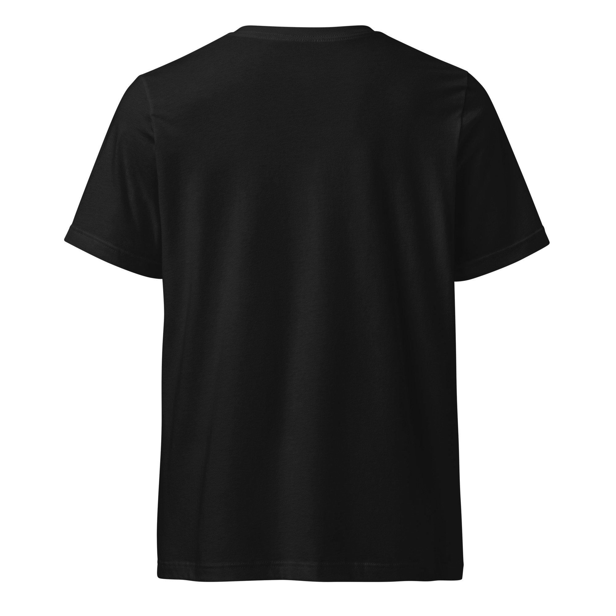 unisex-v-neck-tee-black-back-698a0ba8d0f75.jpg