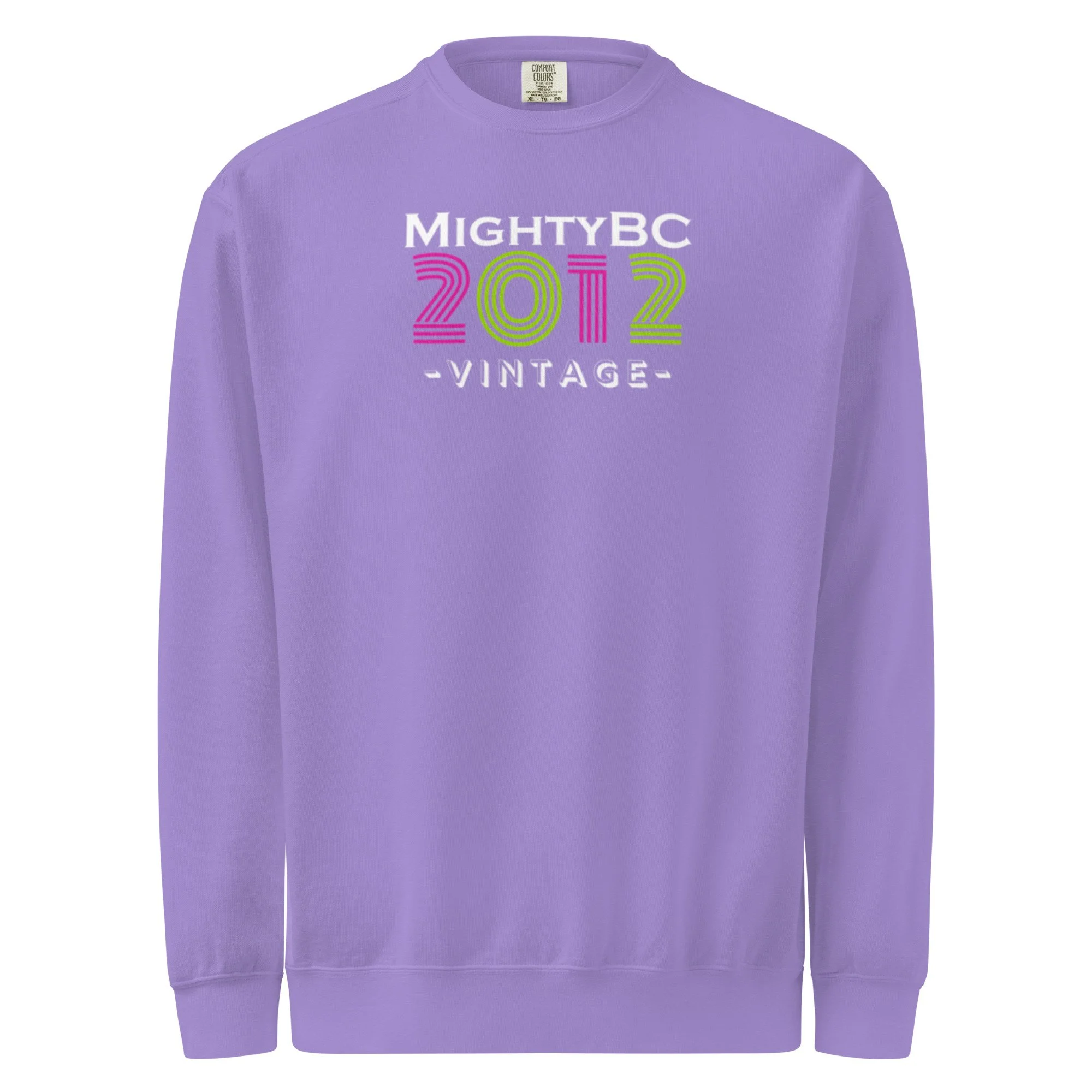 unisex-garment-dyed-sweatshirt-violet-front-6a70e6afb88f9.jpg