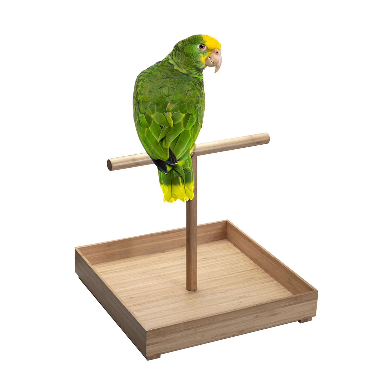 large bird perch stand