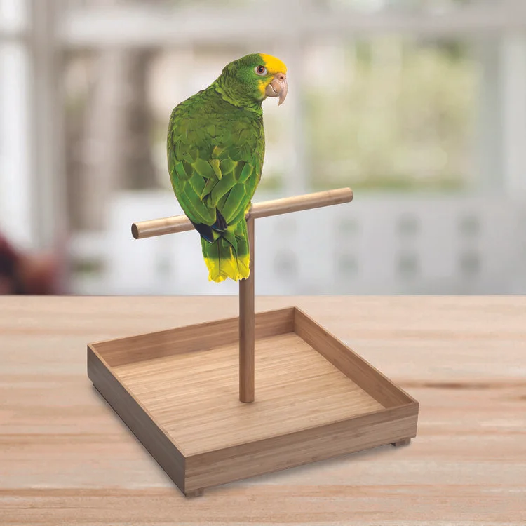 large bird perch stand