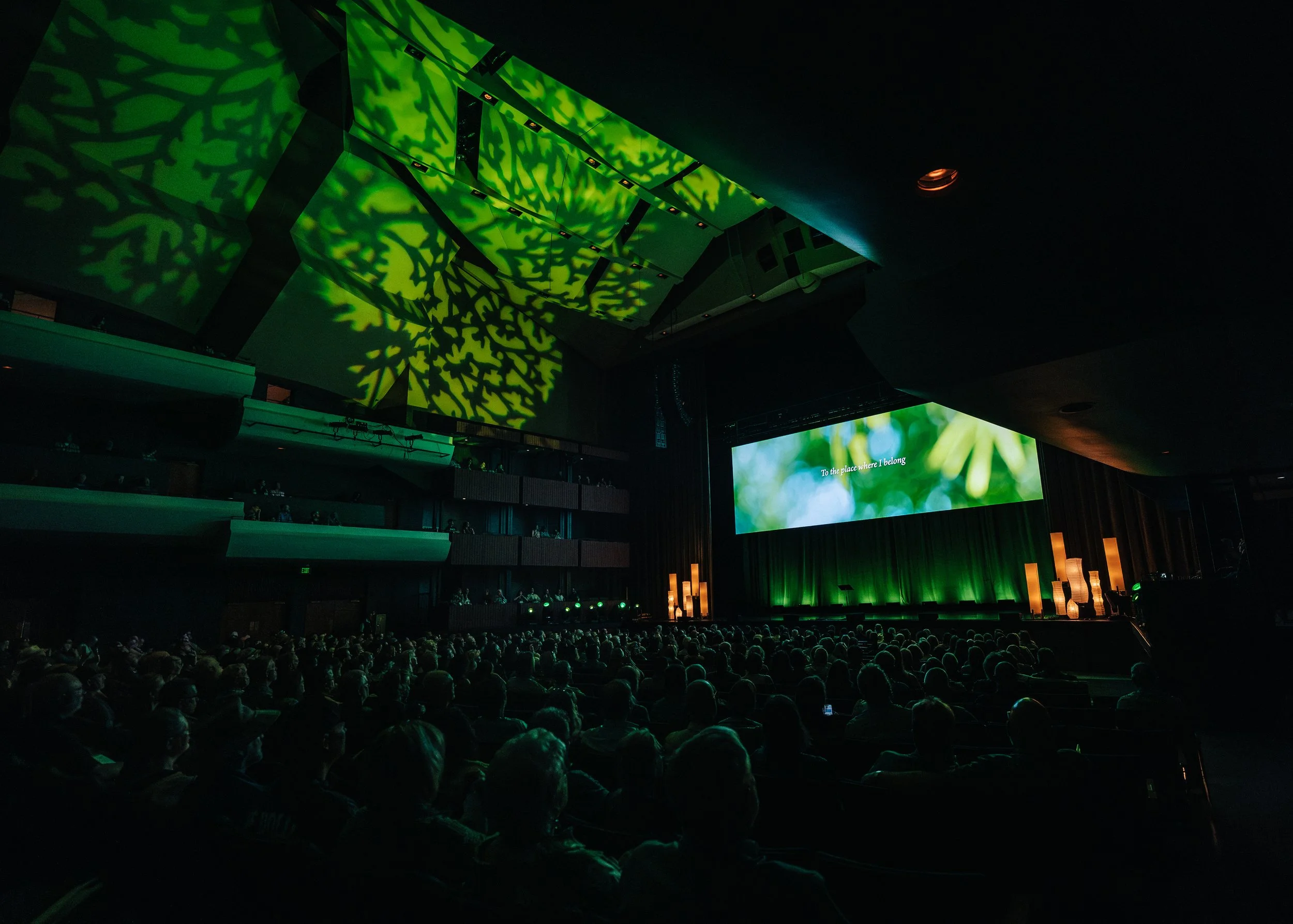 Green-Look-1.jpg