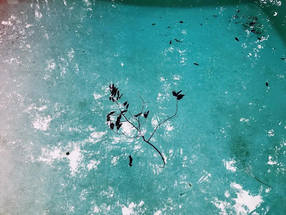 water_psj.jpg