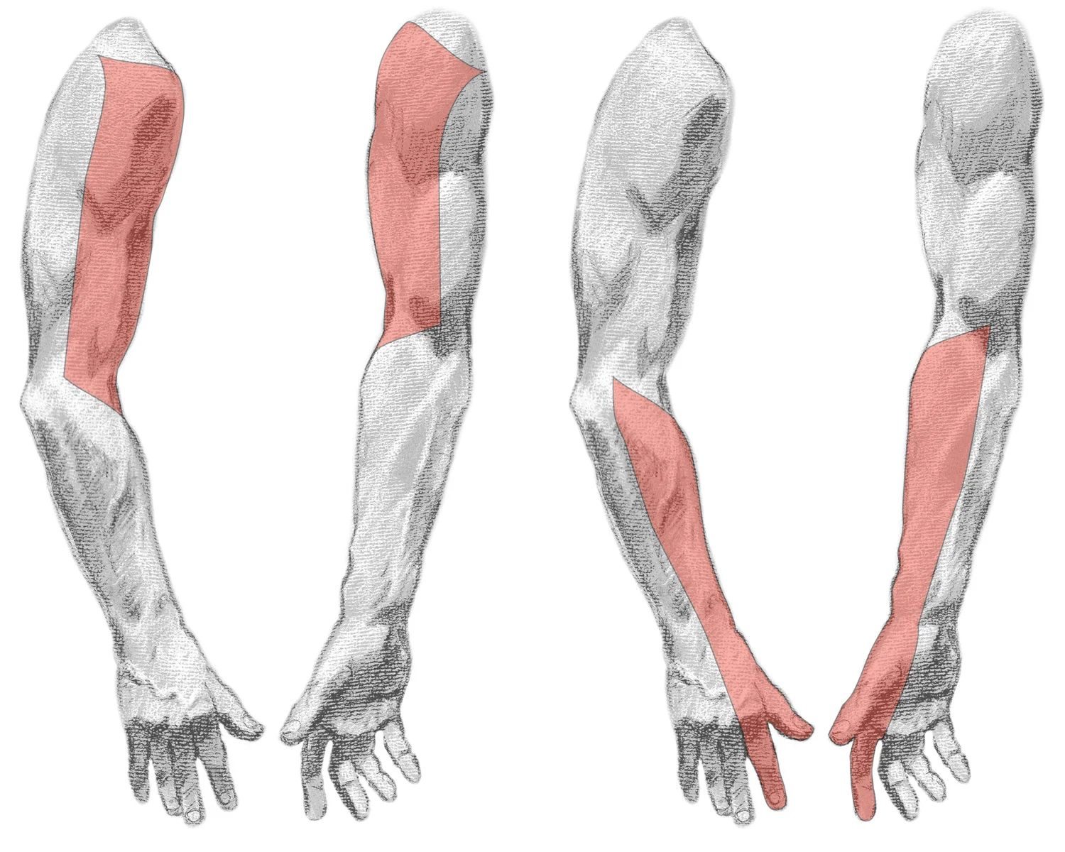 Neurology diagnosis illustrations