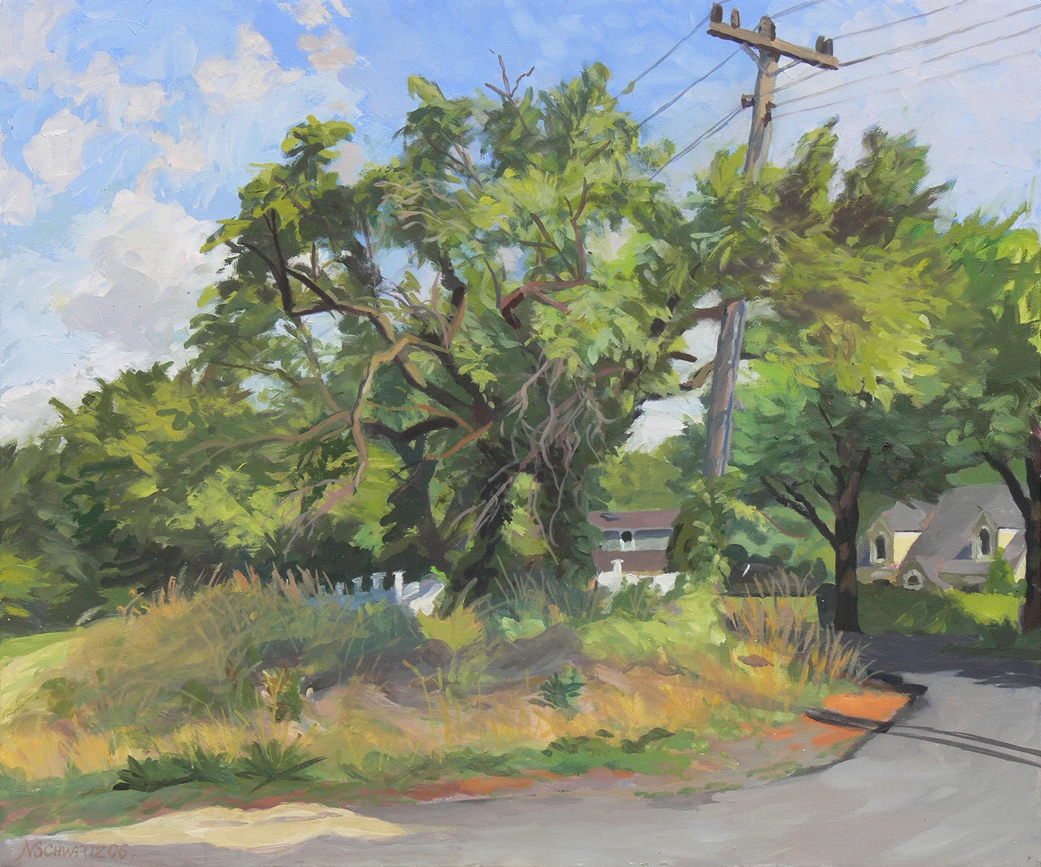 Black Walnut