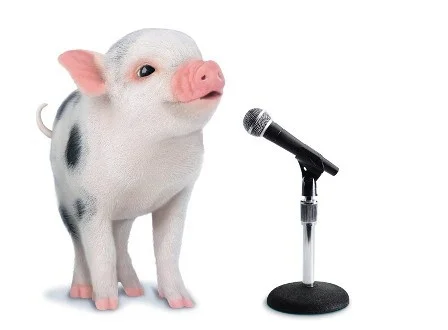 Pig-Singing_m-eps.jpg