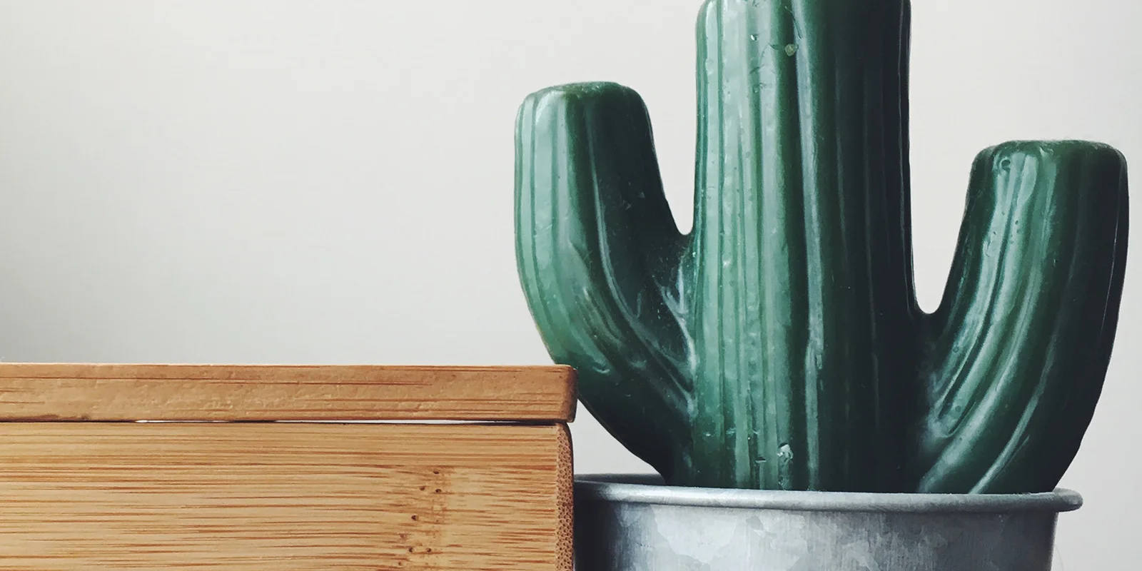 CactusMotion-Cover.jpg