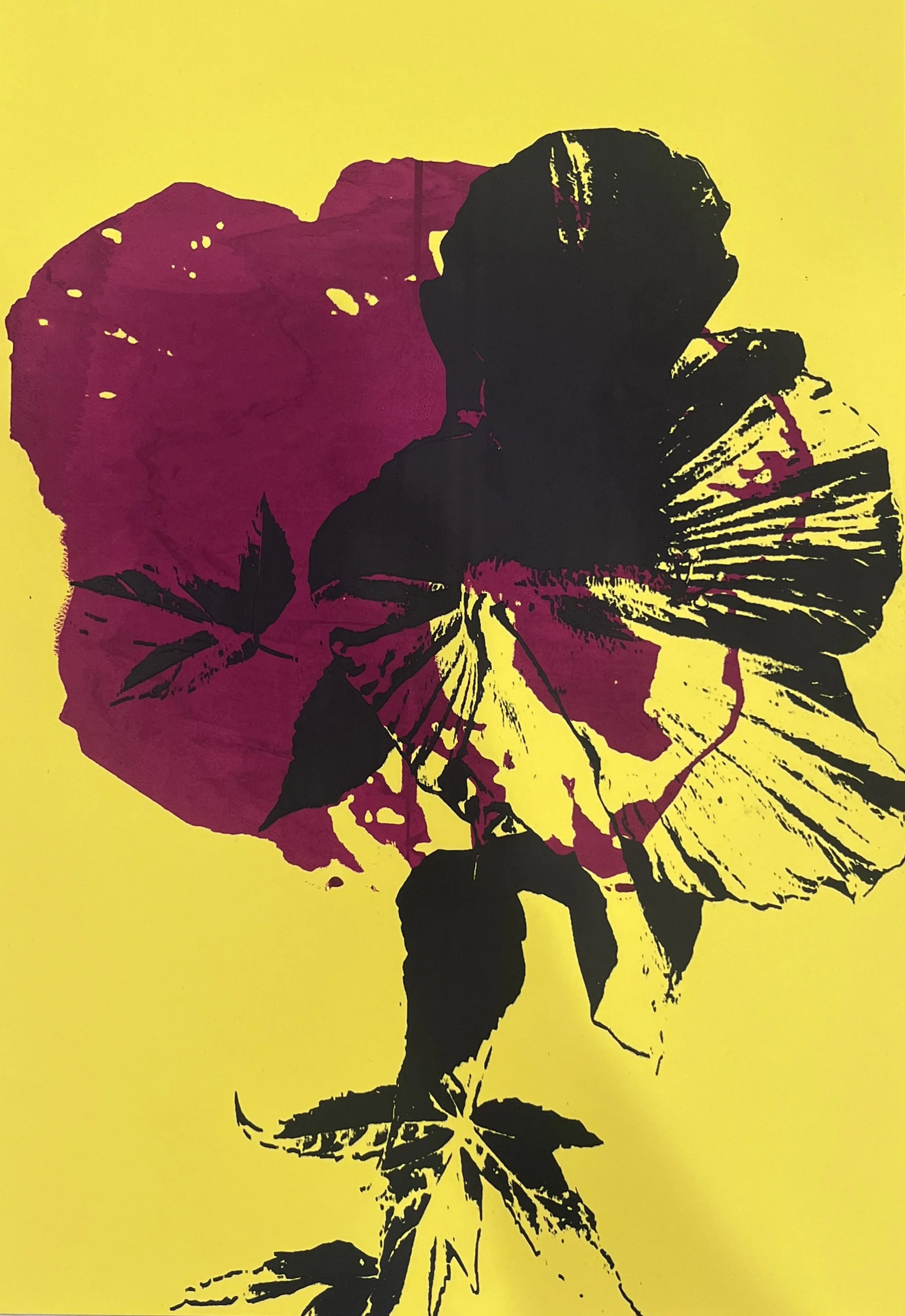 HIBISCUS IN THE WILD SCREEN-PRINT | ED. 3 | 2026