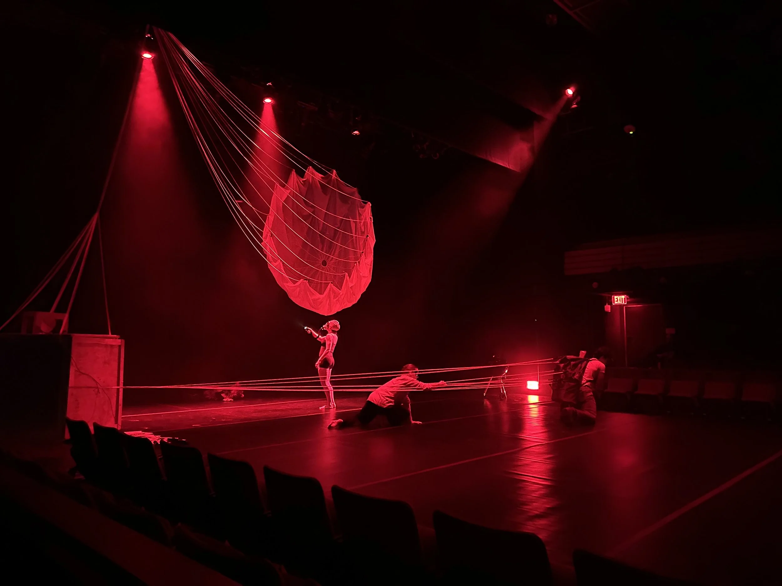 The Long Fall-A Dance Theater Work by VIM VIGOR Dance Company US Premiere