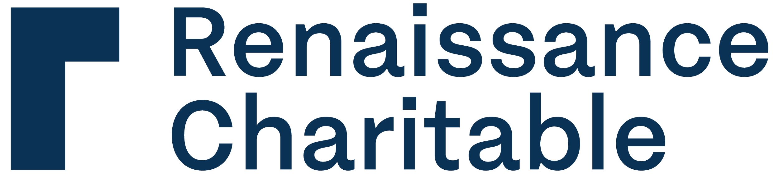 Renaissance Charitable Foundation Inc..png