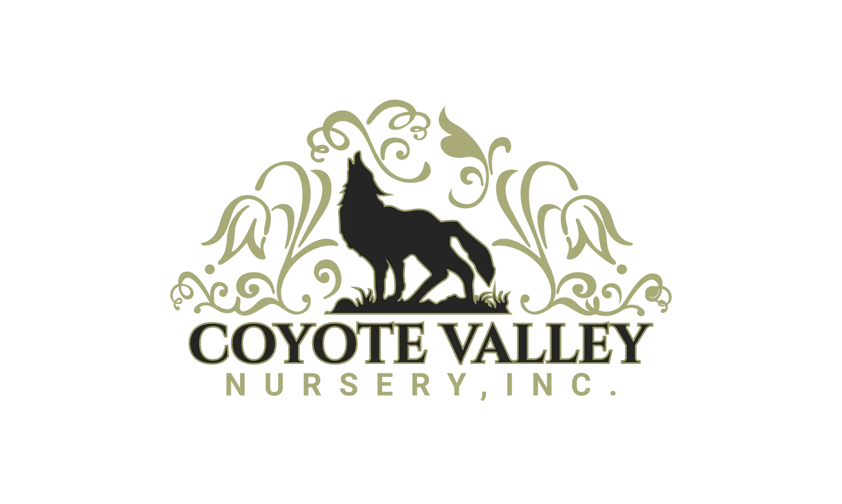 coyote-valley-logo.webp