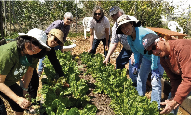 Lessons from the Garden