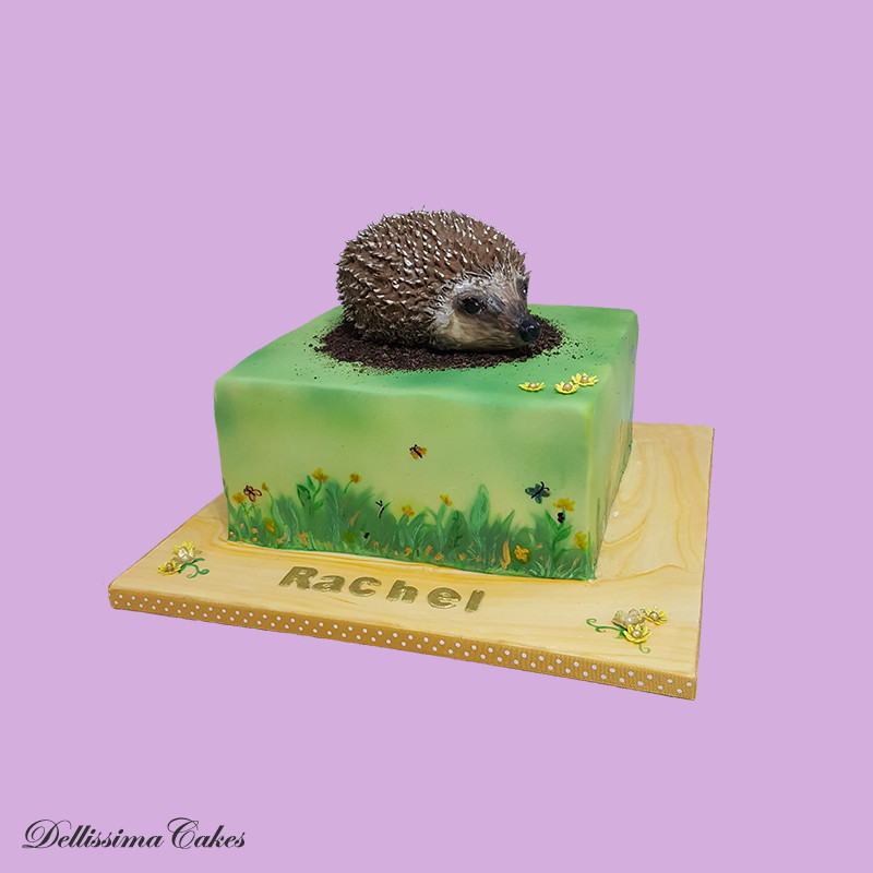 Hedgehog Celebration Cake