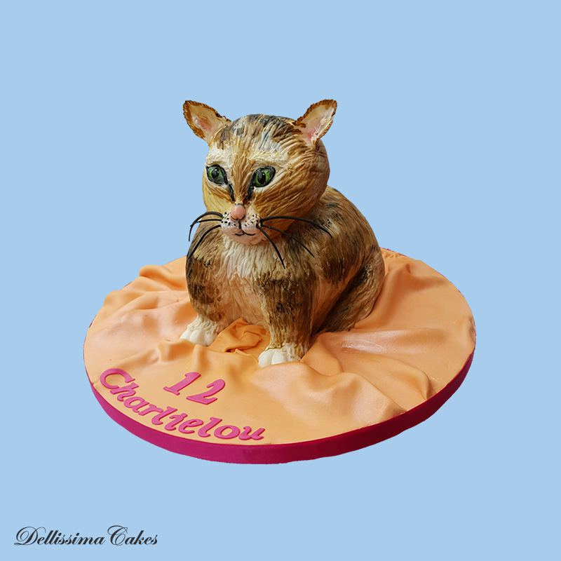 cat-birthday-cake-1.jpg