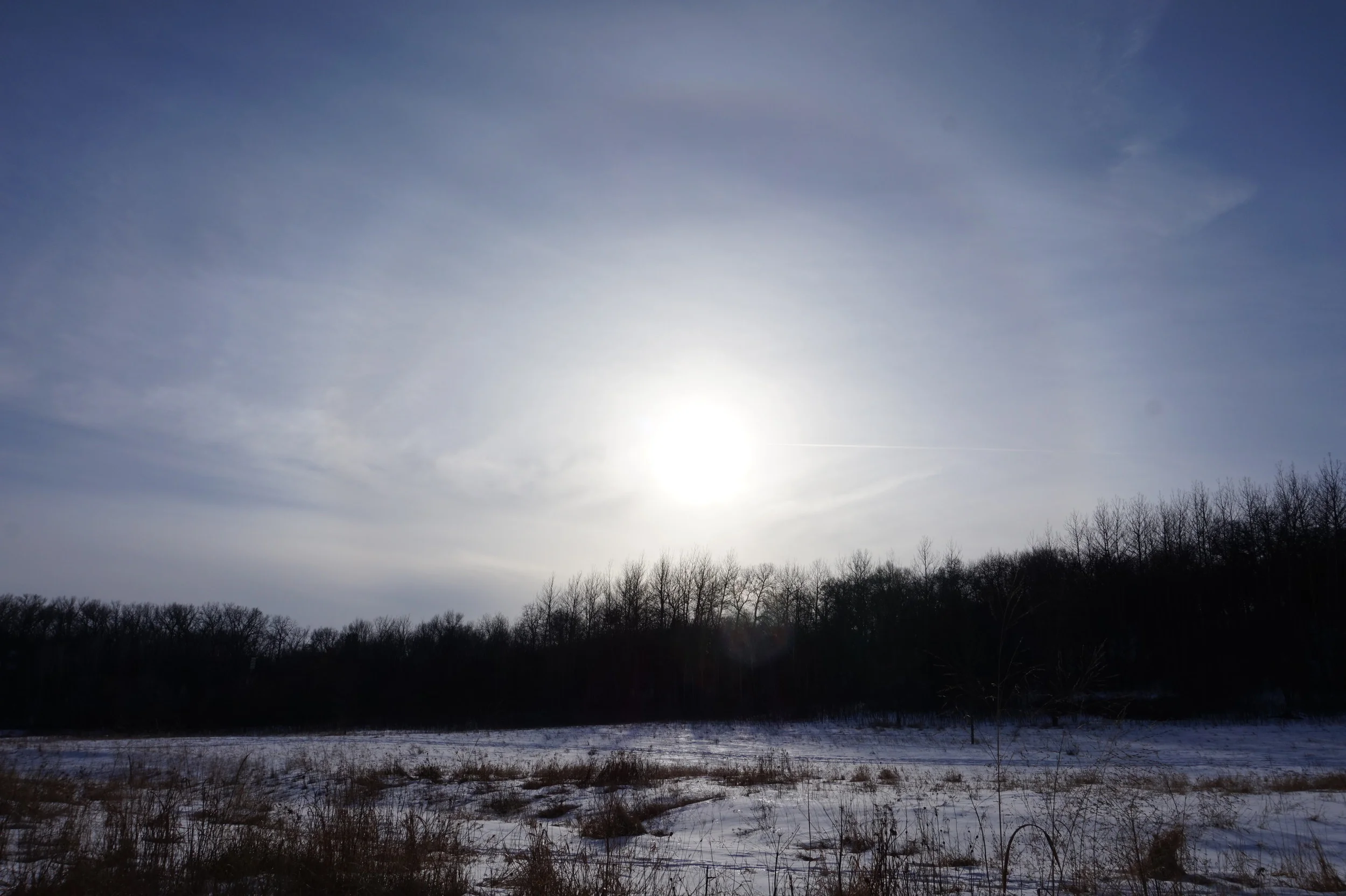 Quarry Hill Nature Center