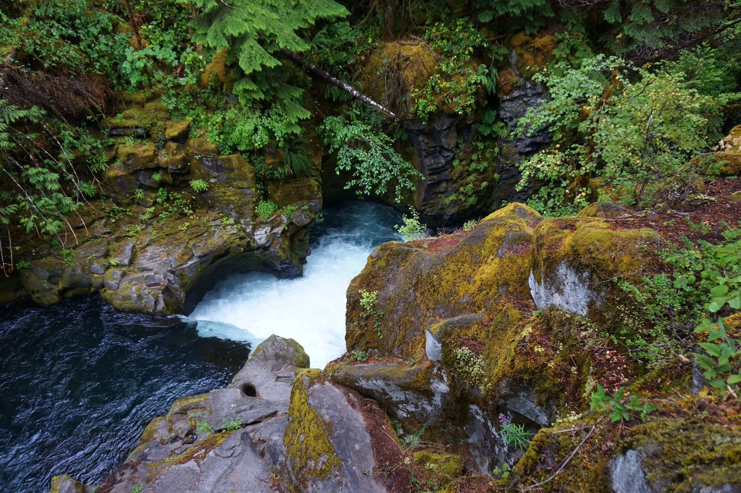 Upper Totekee Falls