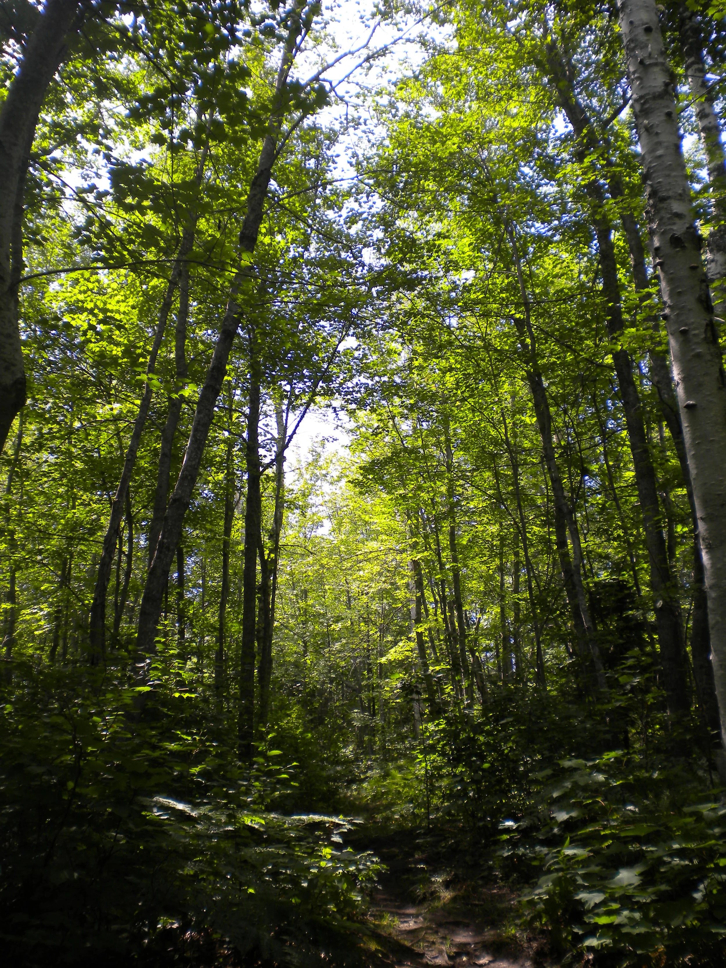  Isle Royale National Park, MI 