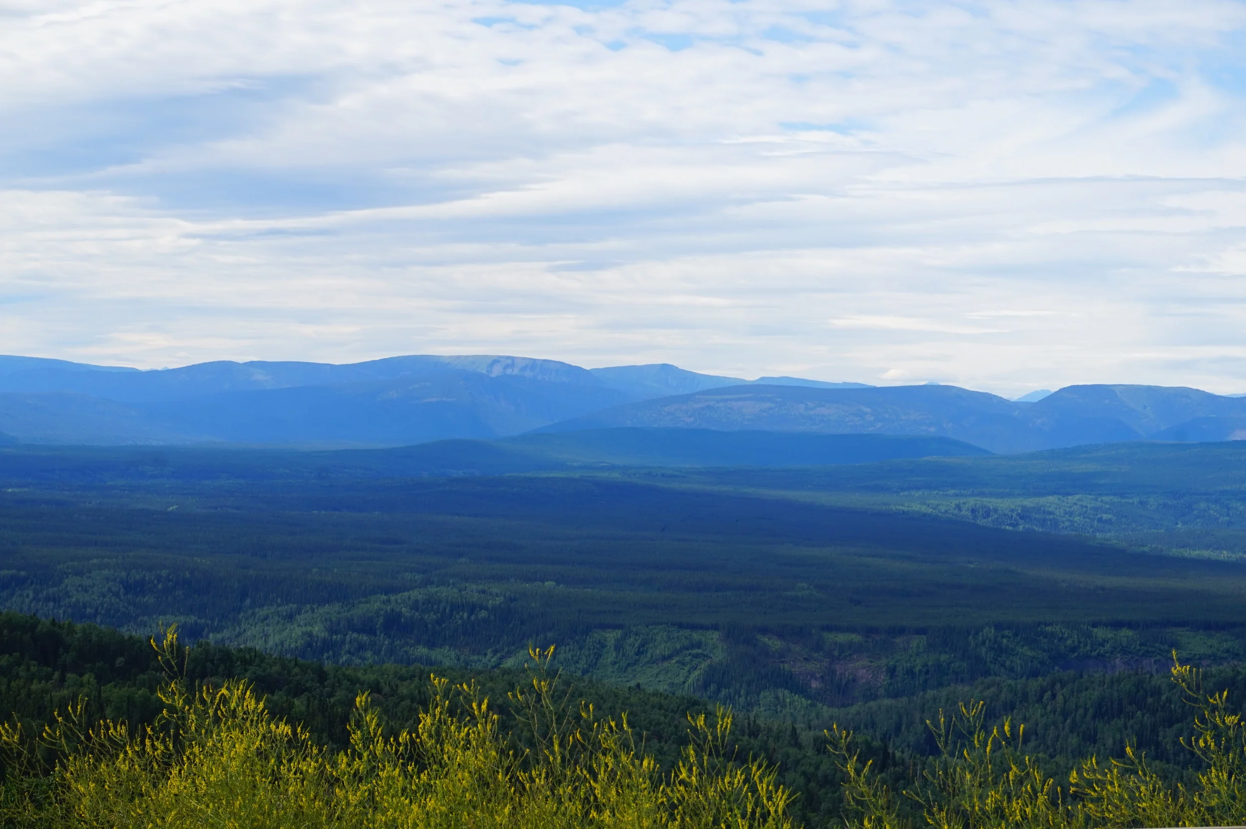 Top of the World